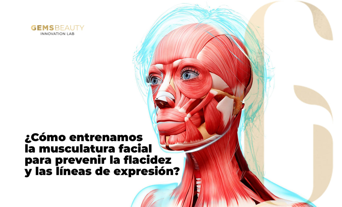 ¿Cómo entrenamos la musculatura facial para prevenir la flacidez y las líneas de expresión?